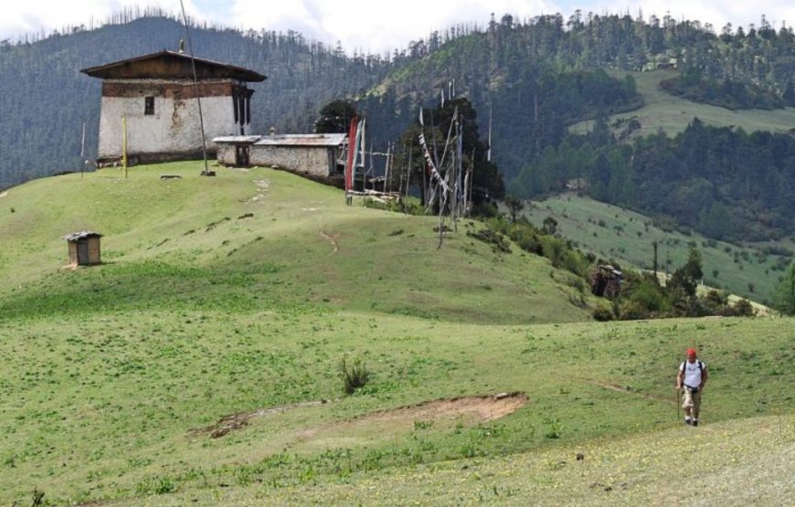 Druk Path Trek