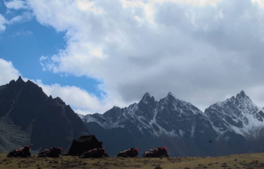 Druk Path Trek