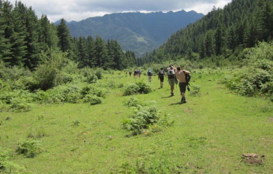 Druk Path Trek