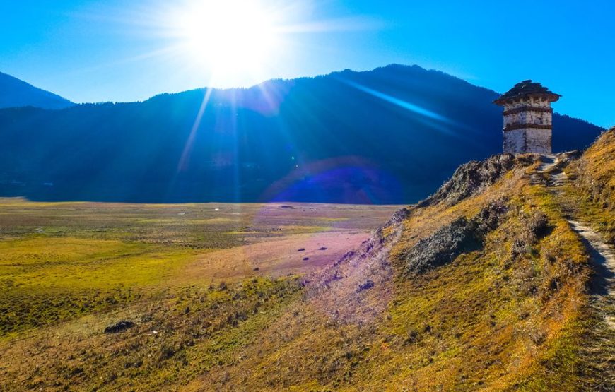 Meditation & Retreat Tour