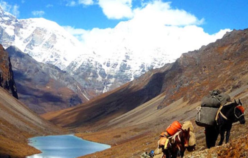 Druk Path Trek