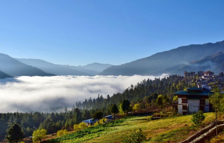 Meditation & Retreat Tour