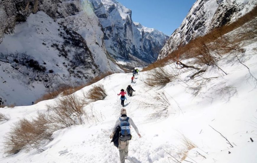Druk Path Trek